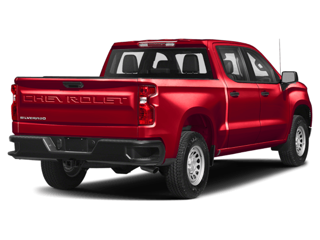 C458800_gnt_back