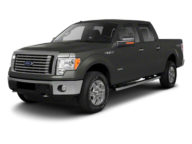 2010 Ford F-150's photo