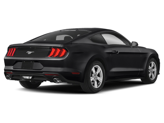 C399979_g1_back