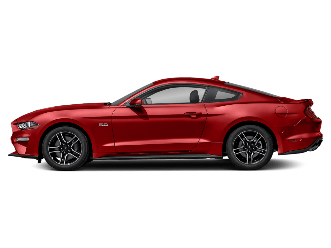 2019 Ford Mustang GT's photo