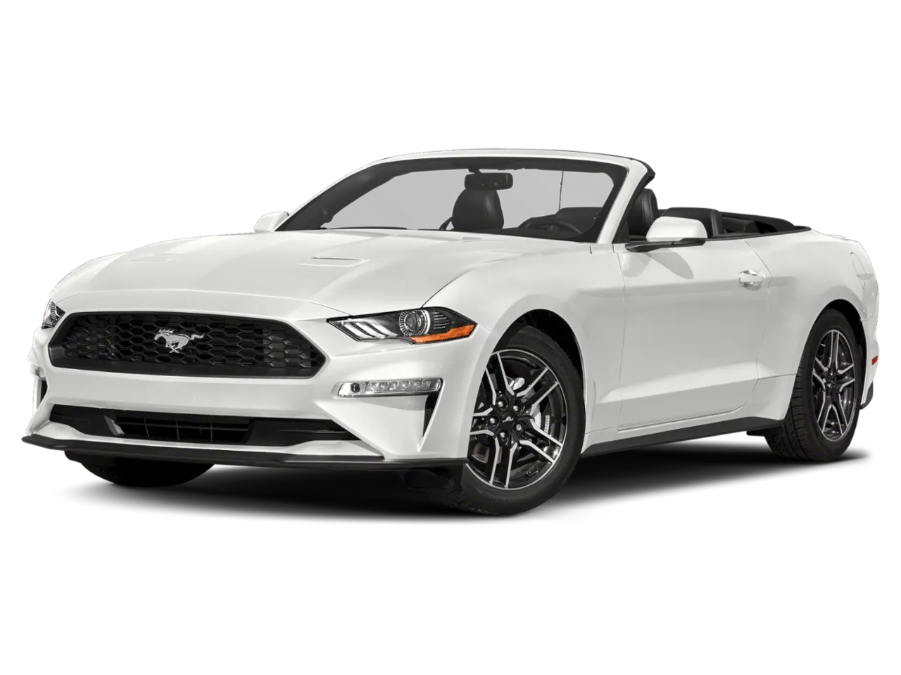 2019 Ford Mustang EcoBoost Convertible Premium's photo
