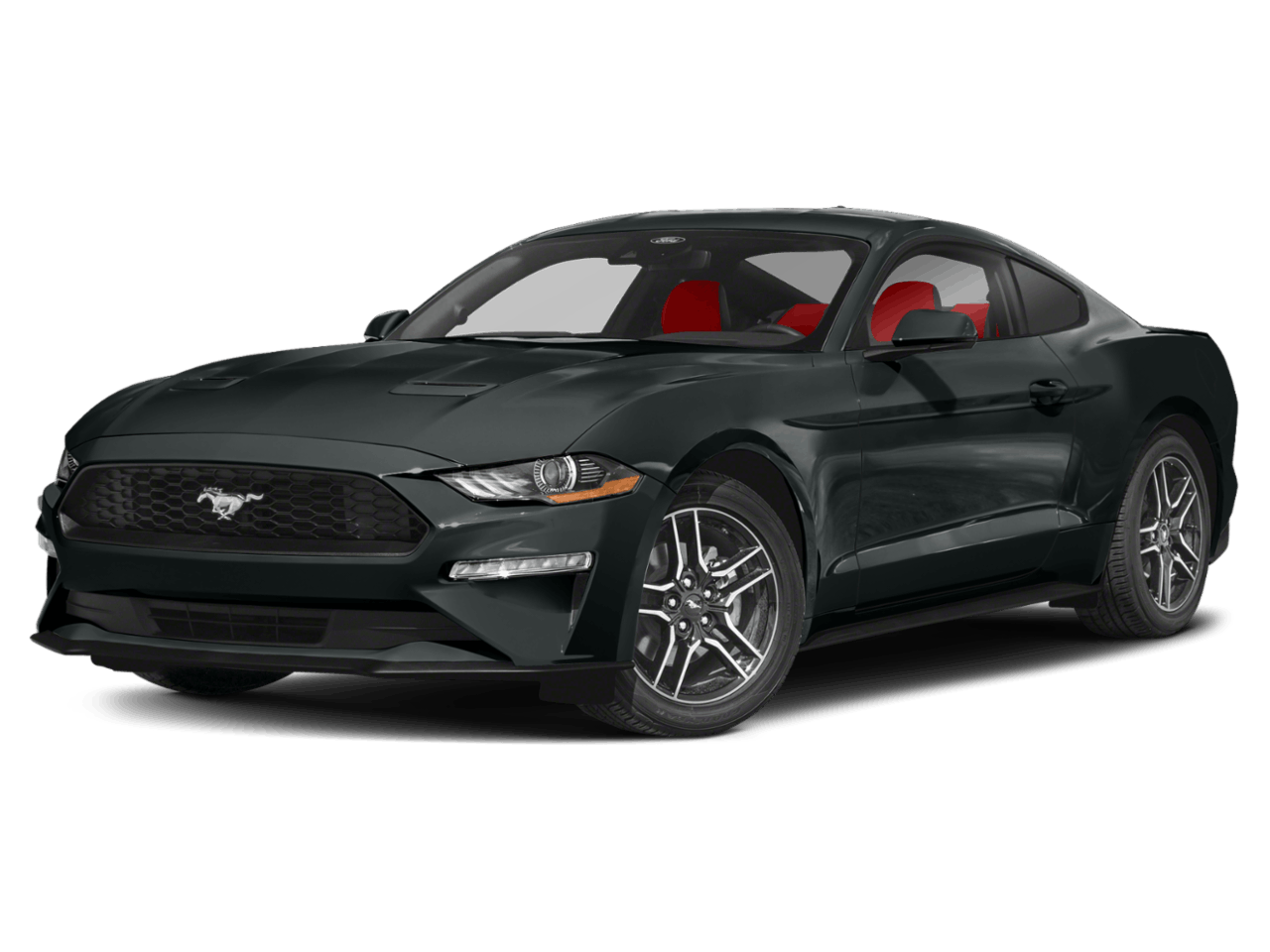 C433335_g1_front