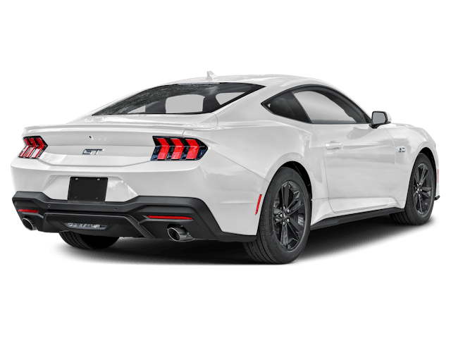 C439075_yz_back