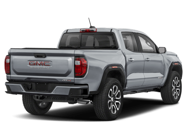 C445829_gxd_back