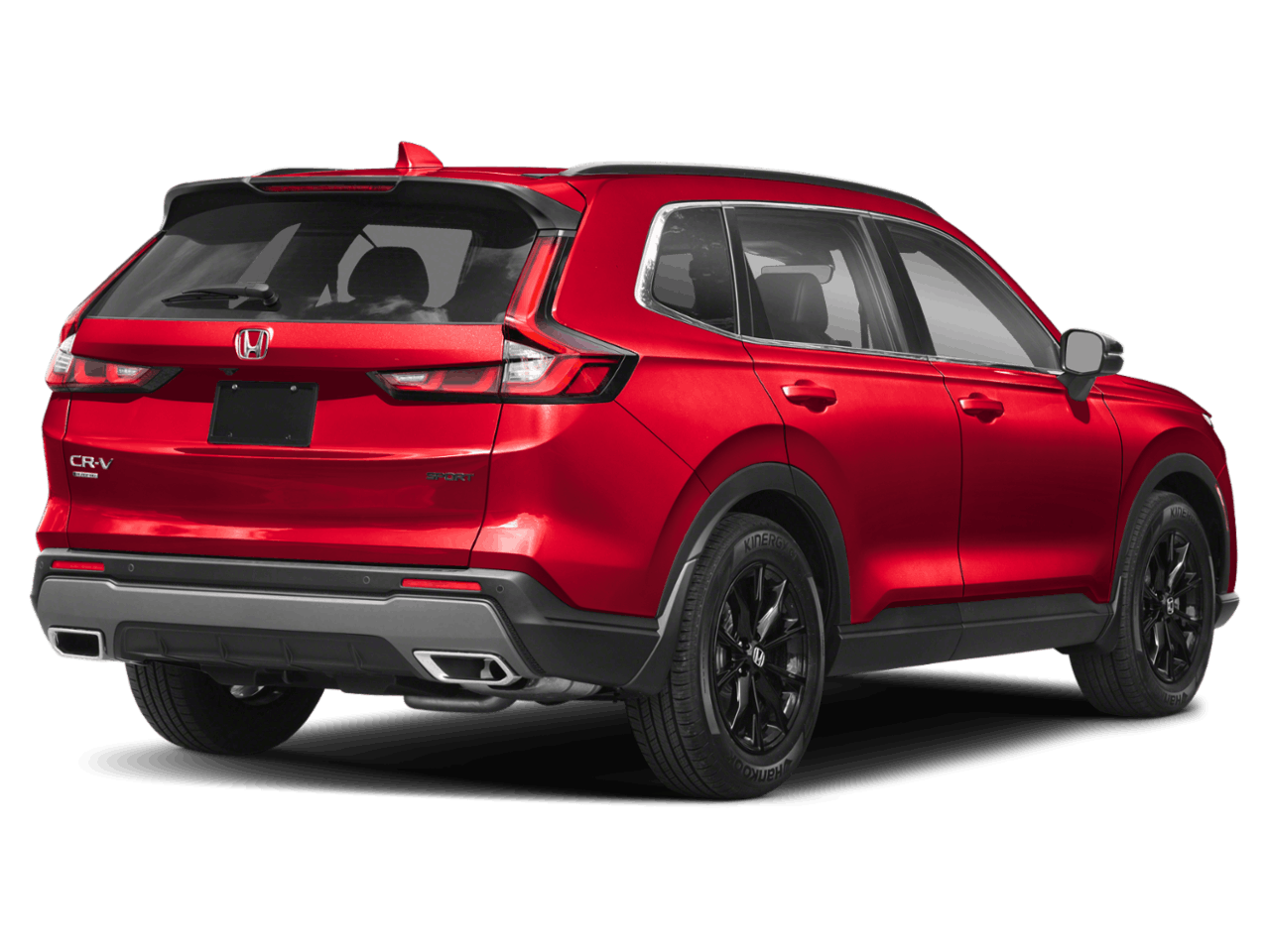 C458169_rl_back