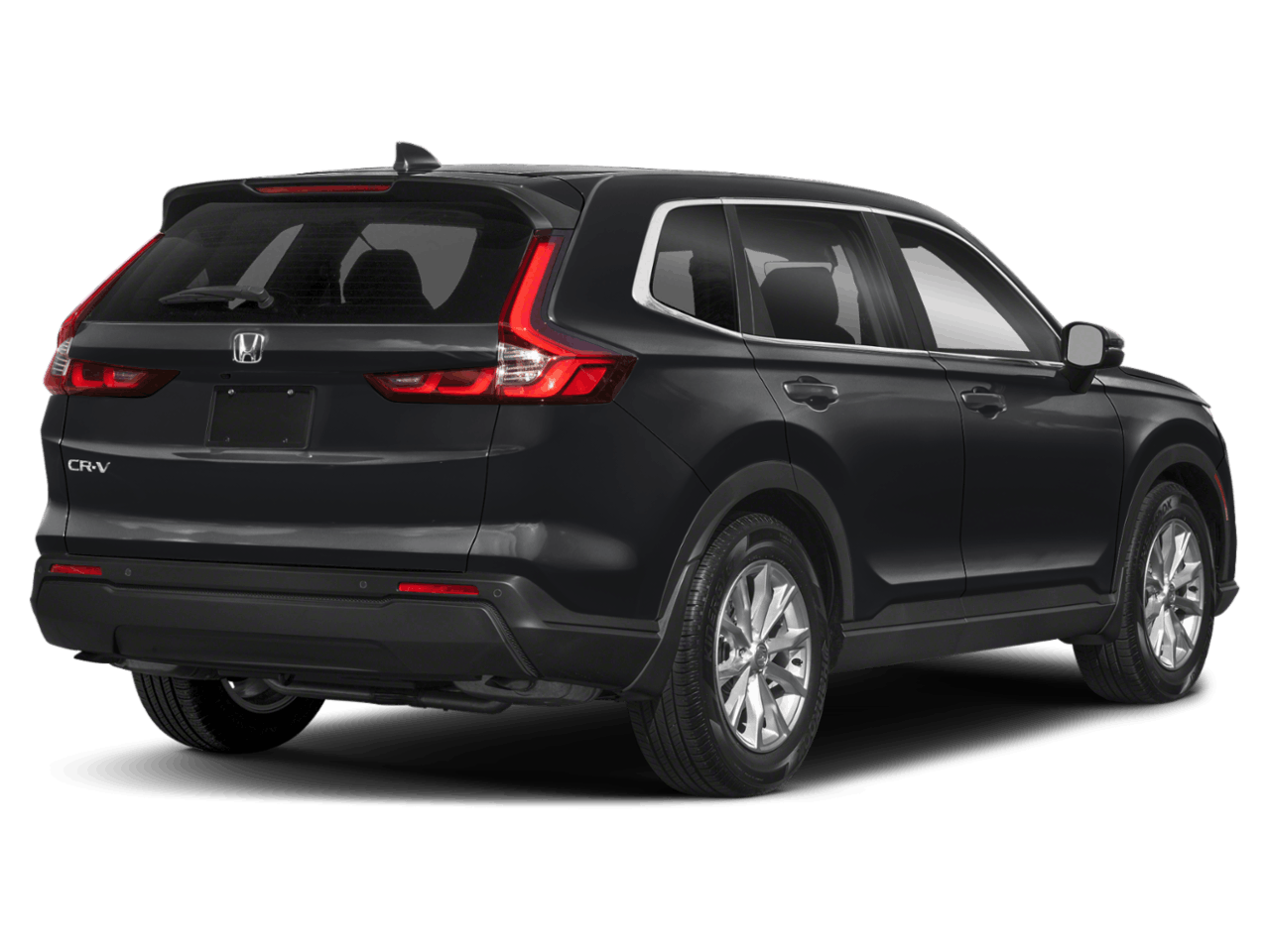 C458161_bk_back