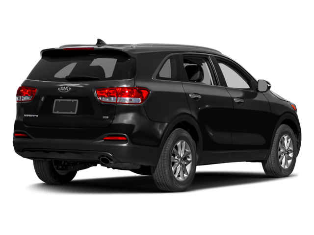 C383782_eb_back