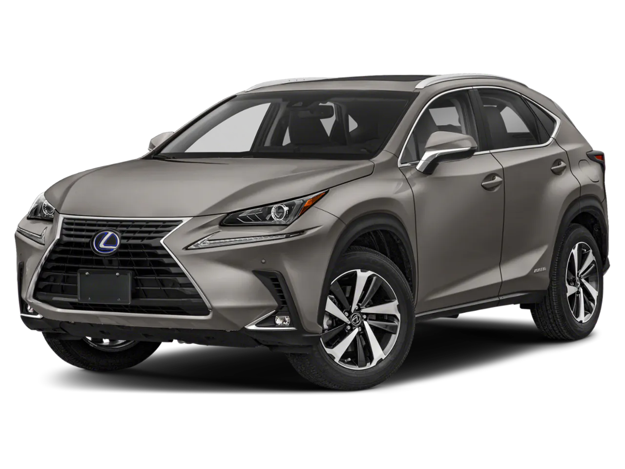 2020 Lexus NX 350h 300h AWD's photo