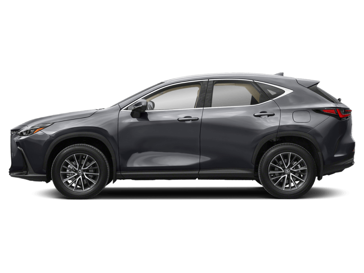 2022 Lexus NX 350's photo