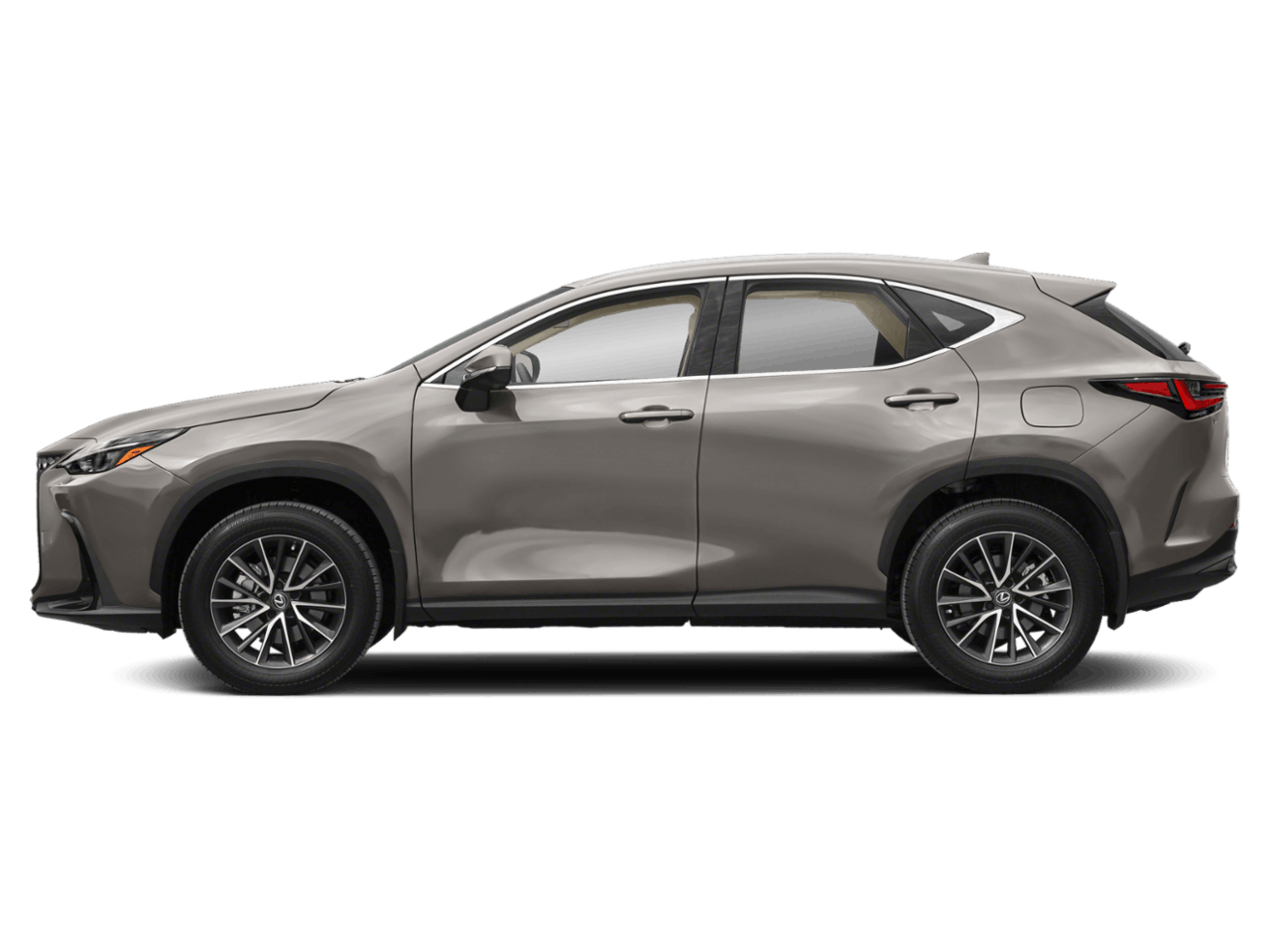 2023 Lexus NX 350's photo