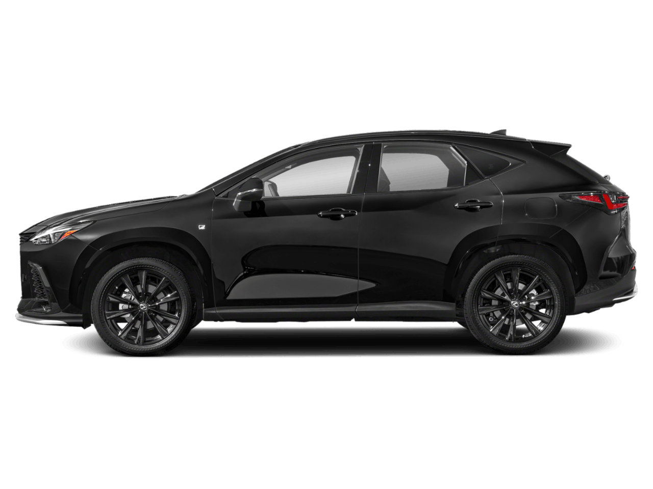 2024 Lexus NX 350's photo