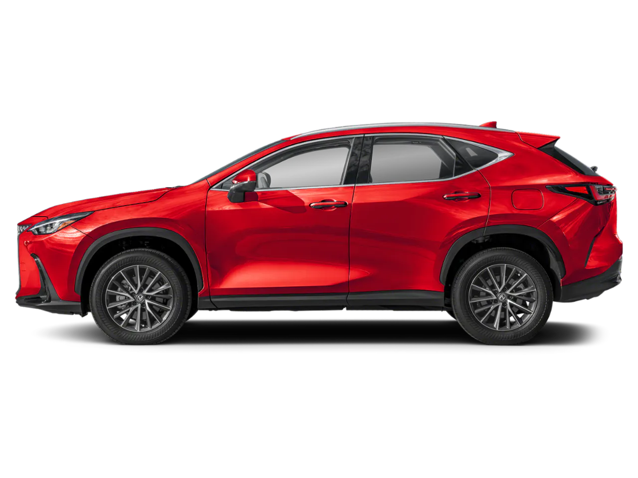 2024 Lexus NX