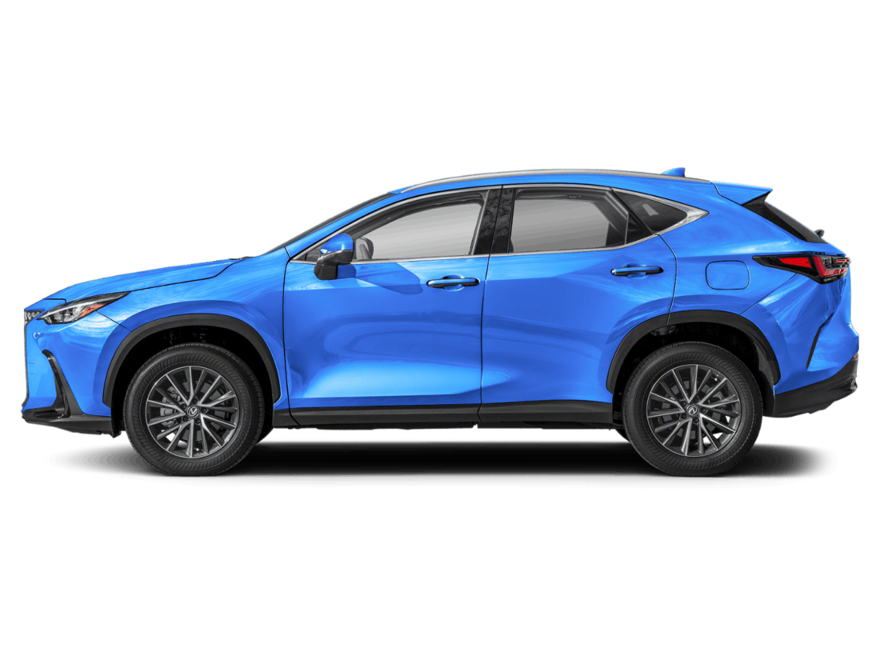 2024 Lexus NX 250's photo