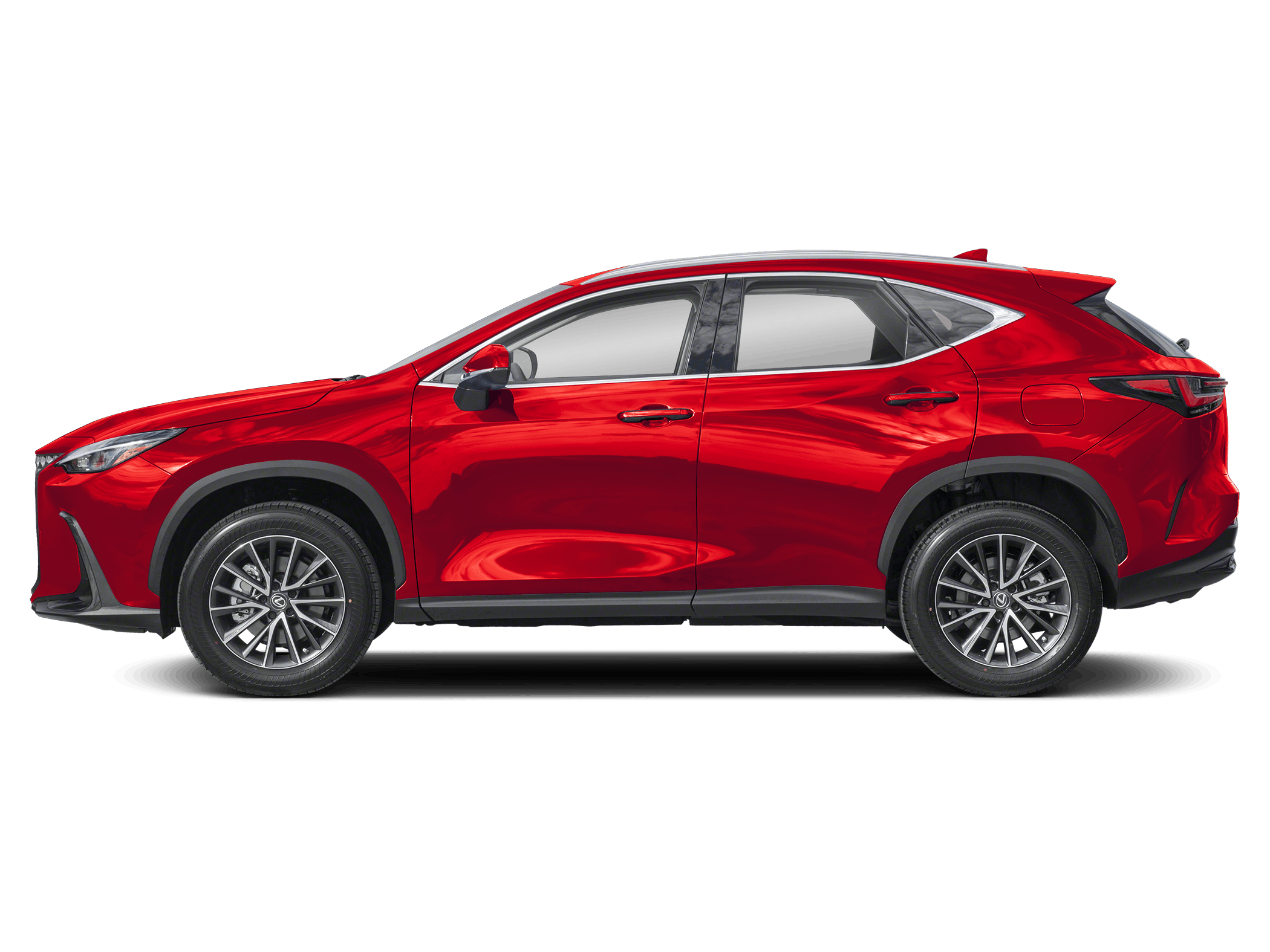 2025 Lexus NX 250's photo