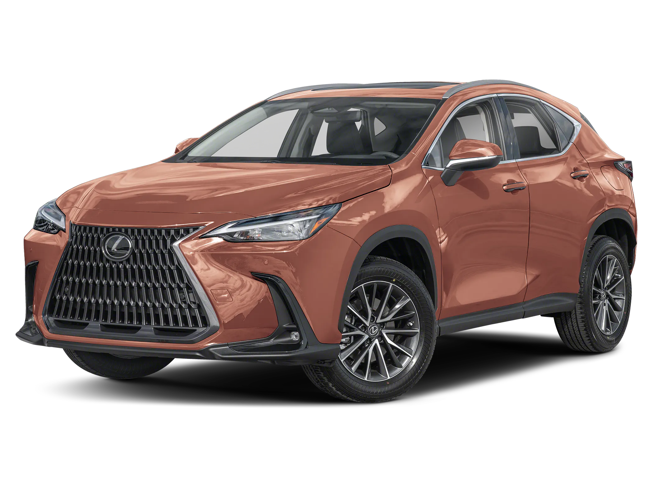 2025 Lexus NX 250 Premium