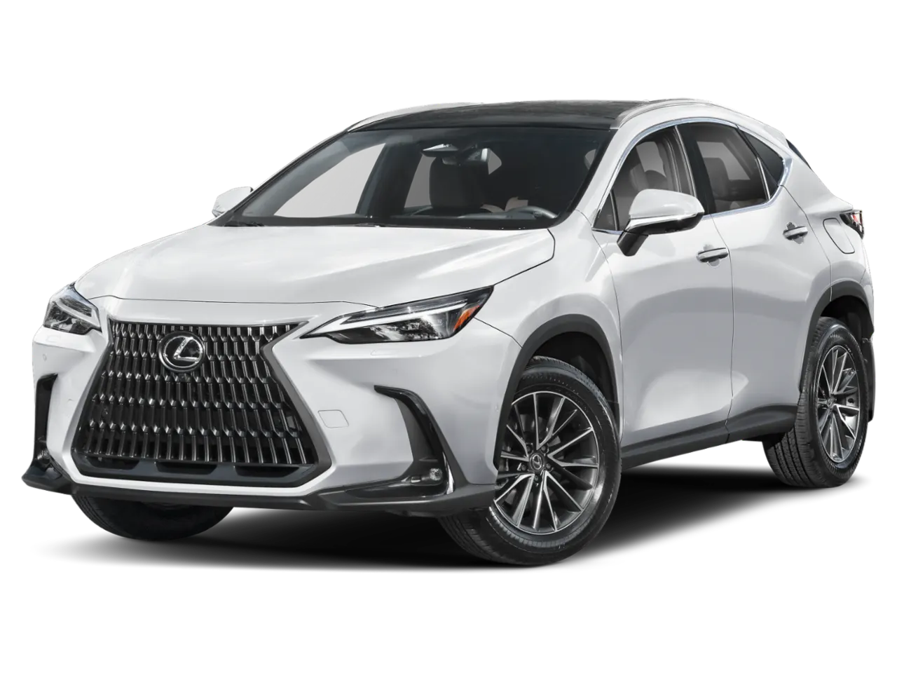 2026 Lexus NX 350h 350h Luxury AWD's photo