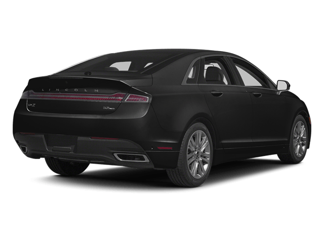 C354882_uh_back