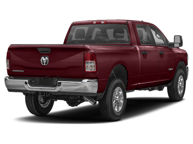 C444126_prv_back