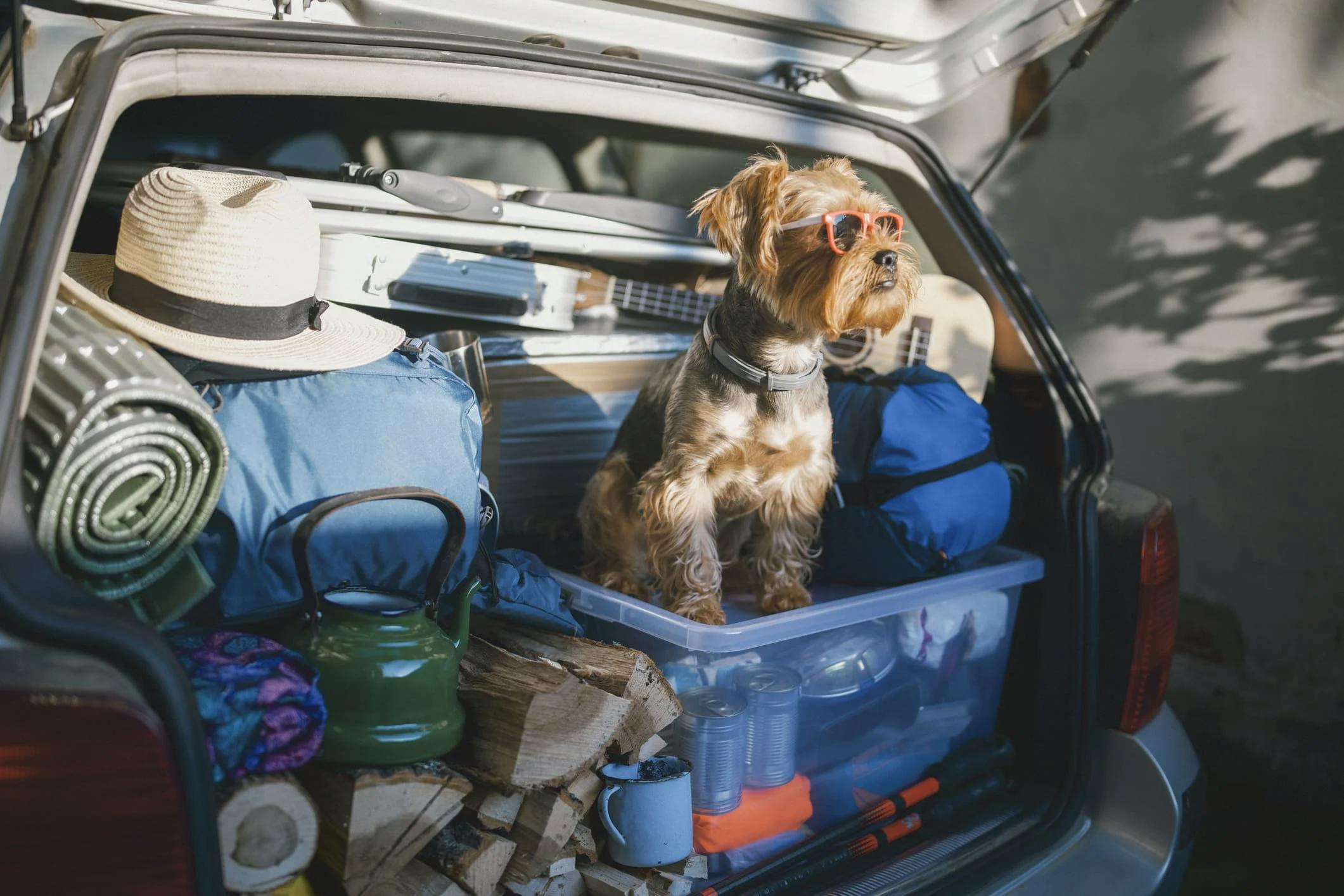 Parts team and automotive parts — Kia starter reference