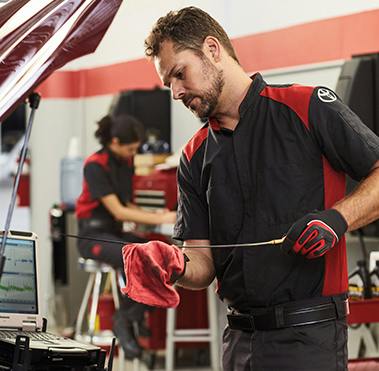 Toyota Oil & Filter Service reference image